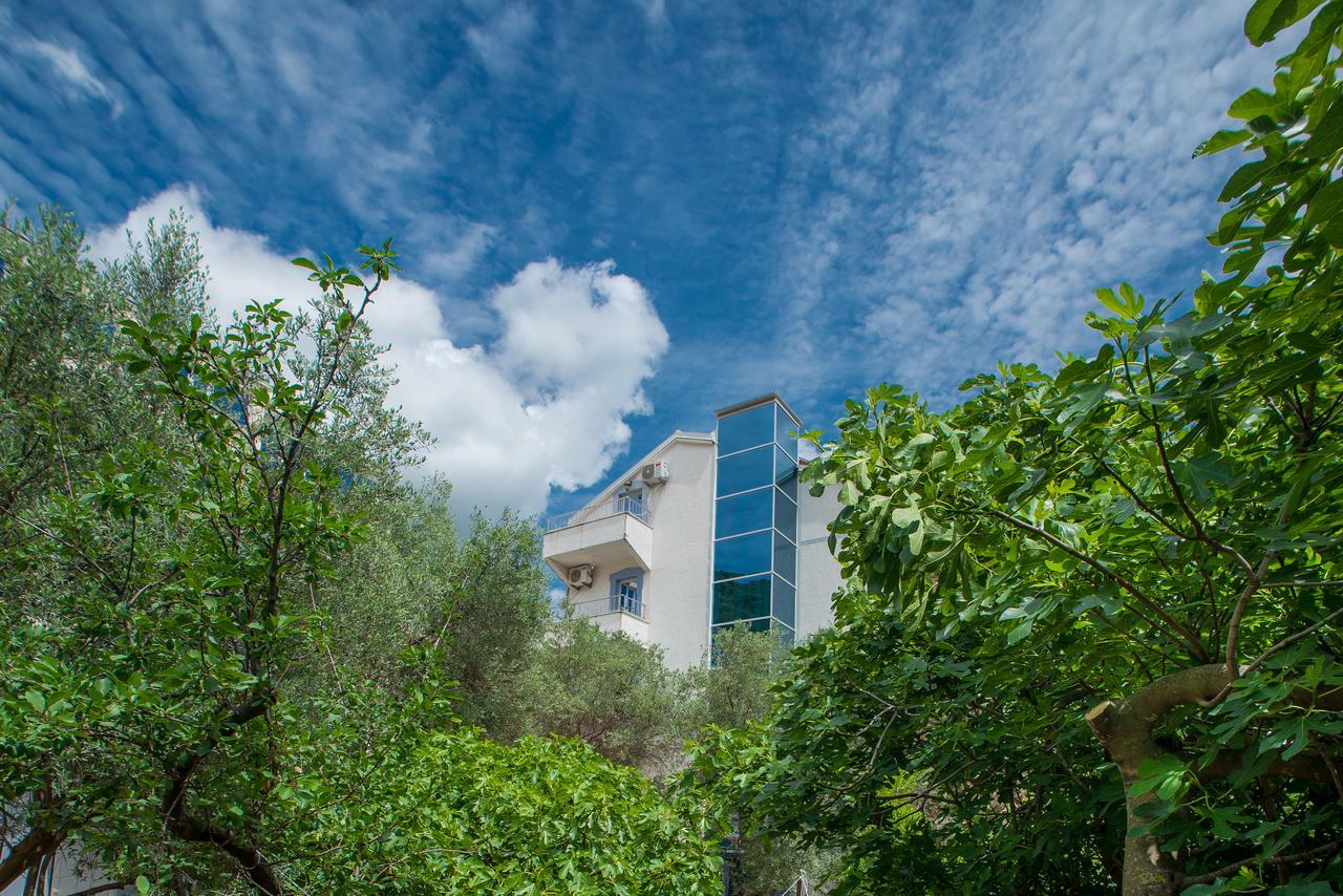 Medin Bluvista Петровац